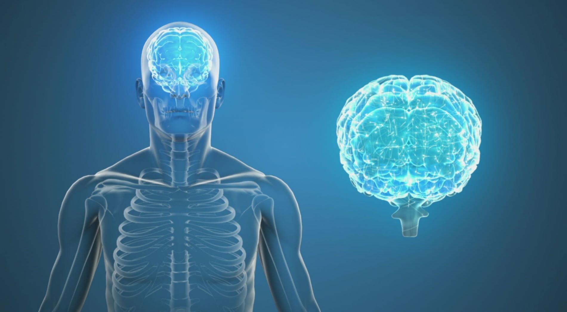 AI system interface
